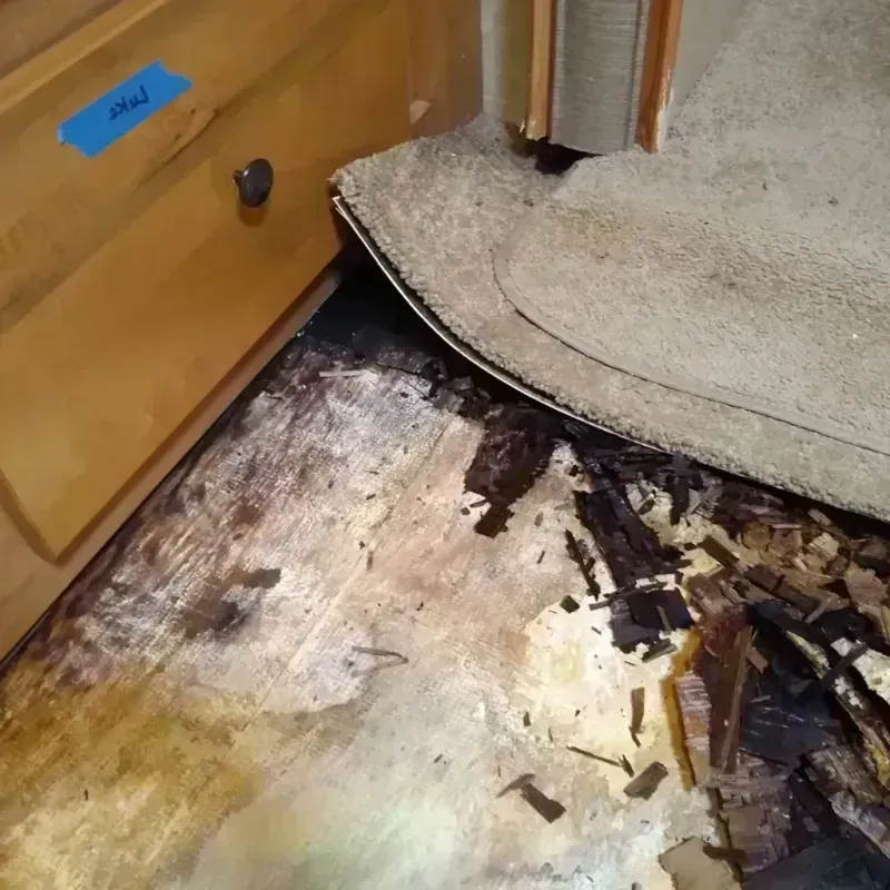 Best Wood Floor Water Damage Service in Springfield Gardens, NY